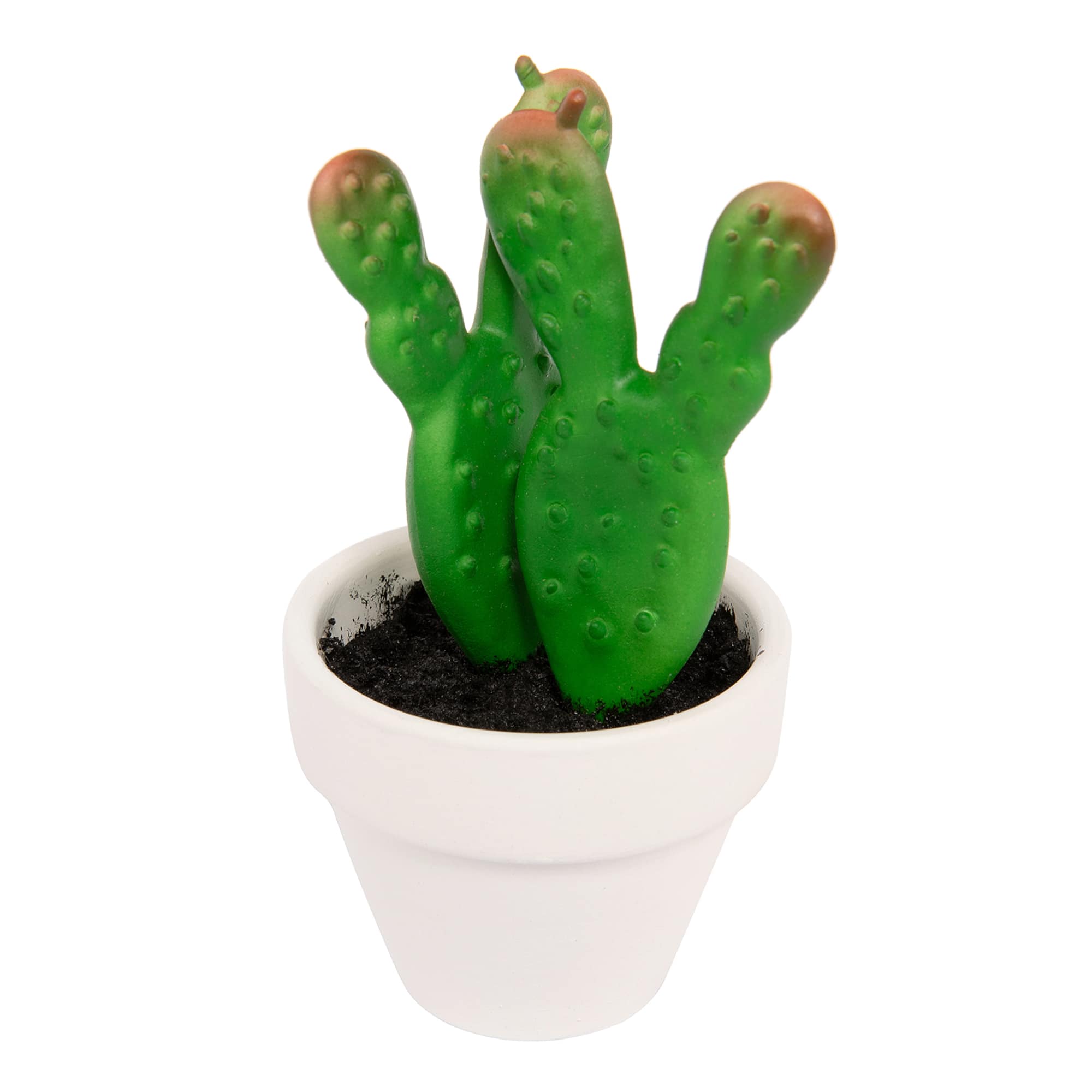 Potted Micro Bunny Cactus by Ashland®